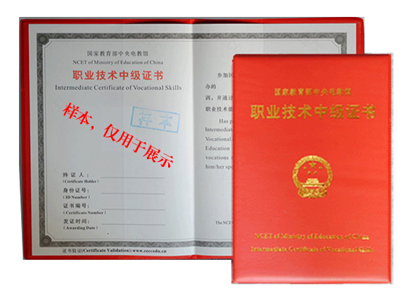 中级证书展示